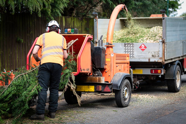 Best Mulching Services  in USA